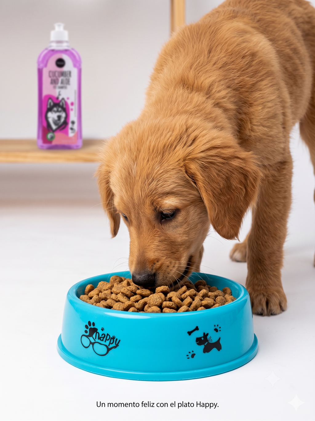Plato para perro 26 cm